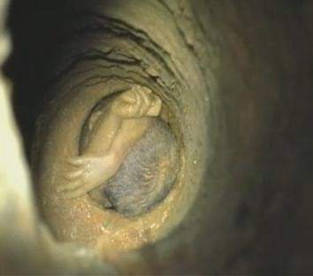 durai868's tweet image. Ignore Diwali and let&apos;s pray for #Surjith..