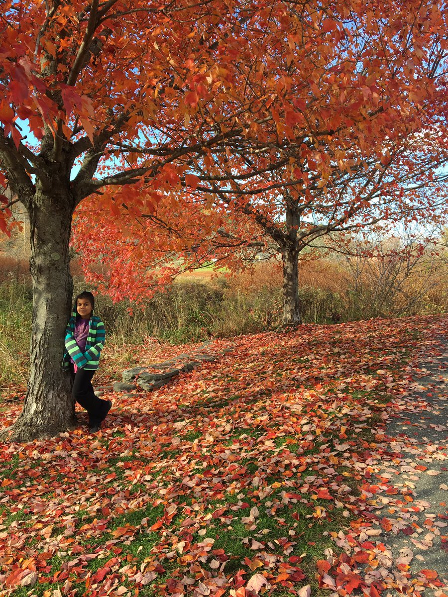 Absolutely gorgeous here.     Stowe, Vermont
