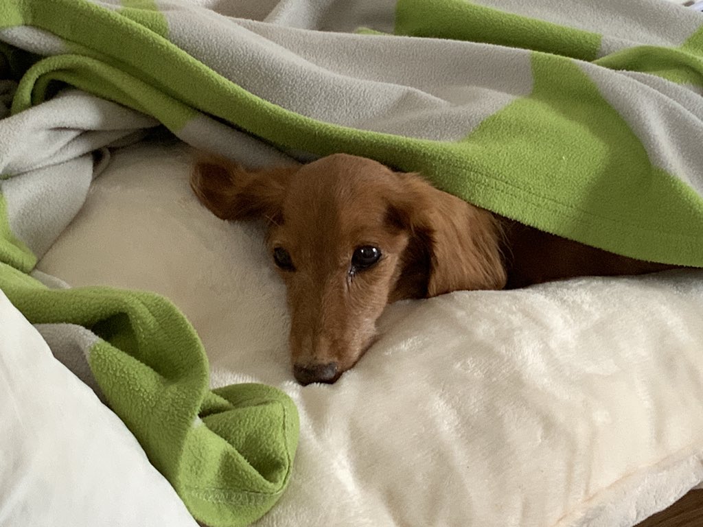 0069_1111's tweet image. 16歳の赤ちゃん