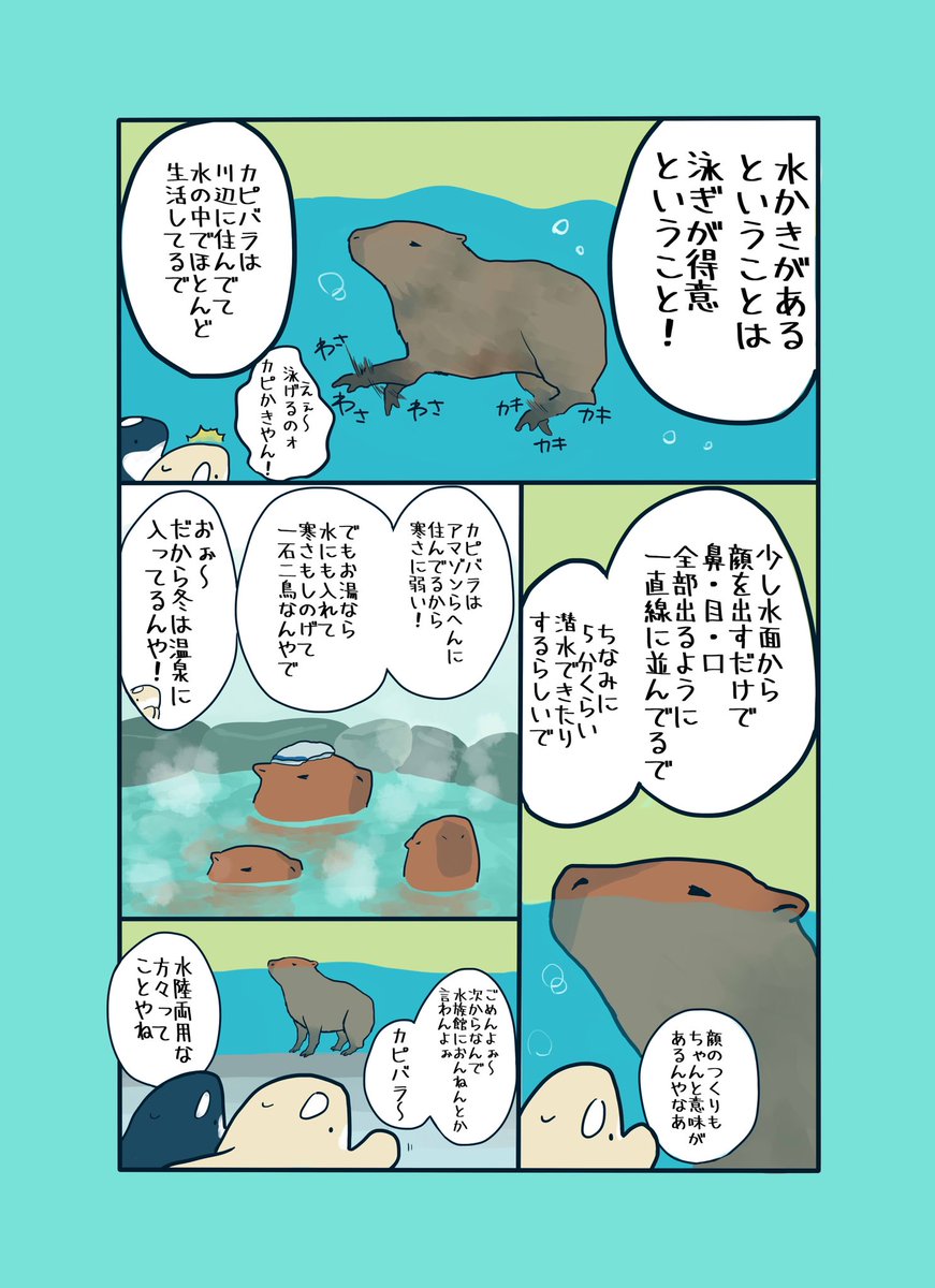 【再掲】カピバラってなんで水族館におるん？ 