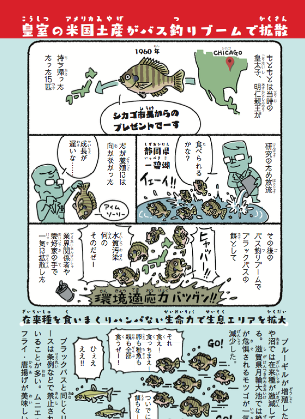 トレンド入りしてたニュース（
）では省略されてたけど、ブルーギル日本に持ち帰ったのって、上皇陛下なんだよね。あんま知られてないけど。最初はたったの15匹だった。

『侵略！… 