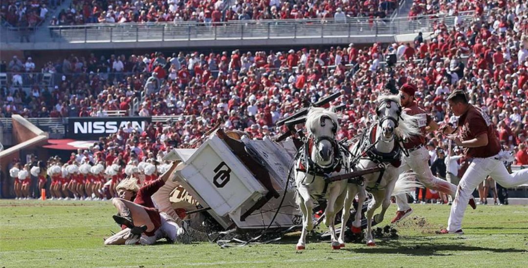 ConradMcGorkin's tweet image. 