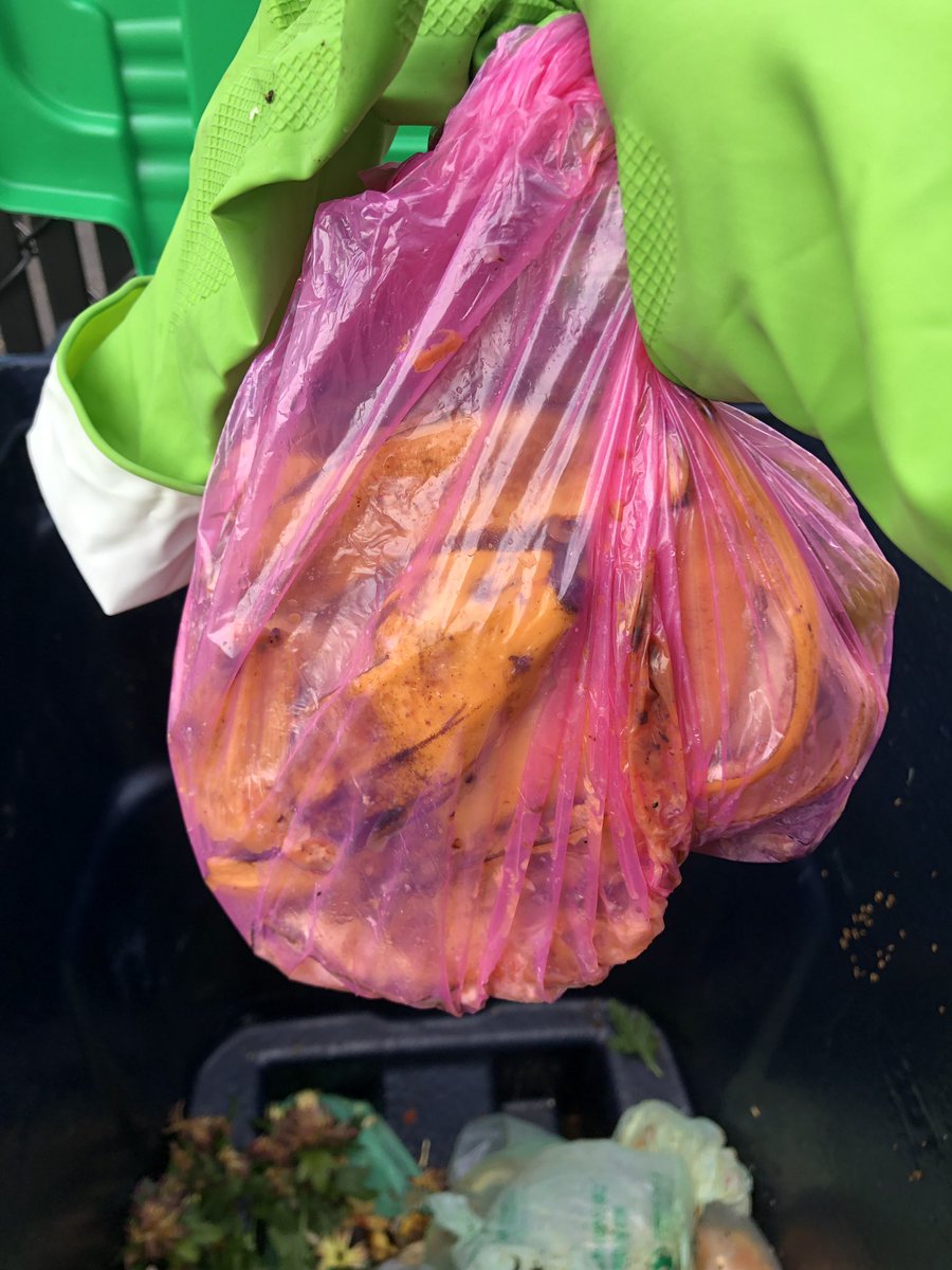 GrbicJ's tweet image. #MIT so happy that composting is an option for grad students living in campus housing, so let’s keep contamination out! Regular plastic bags CAN’T be used to hold your compost - you need special ones which you can get from the Grad Housing Govt of your building.  #compostingtips