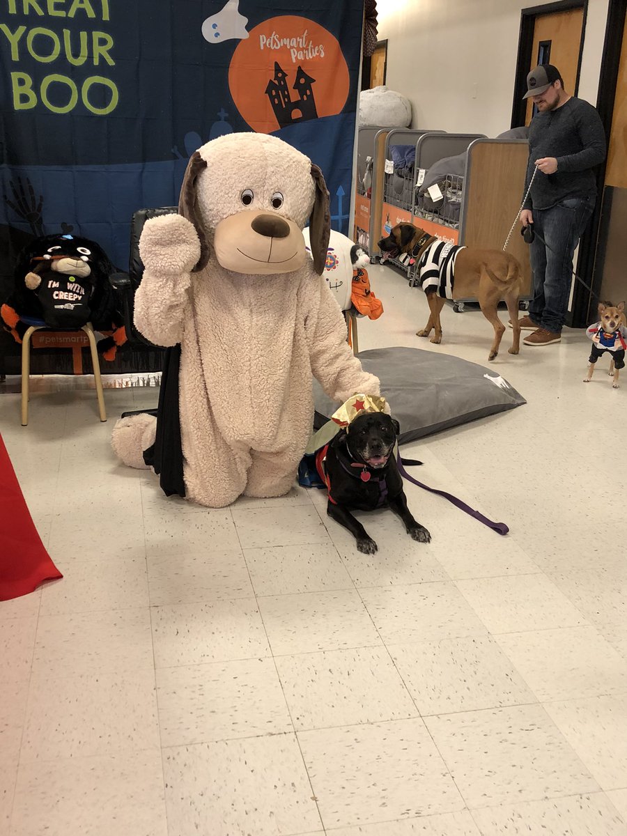PetSmart 290/Tidwell tweet media