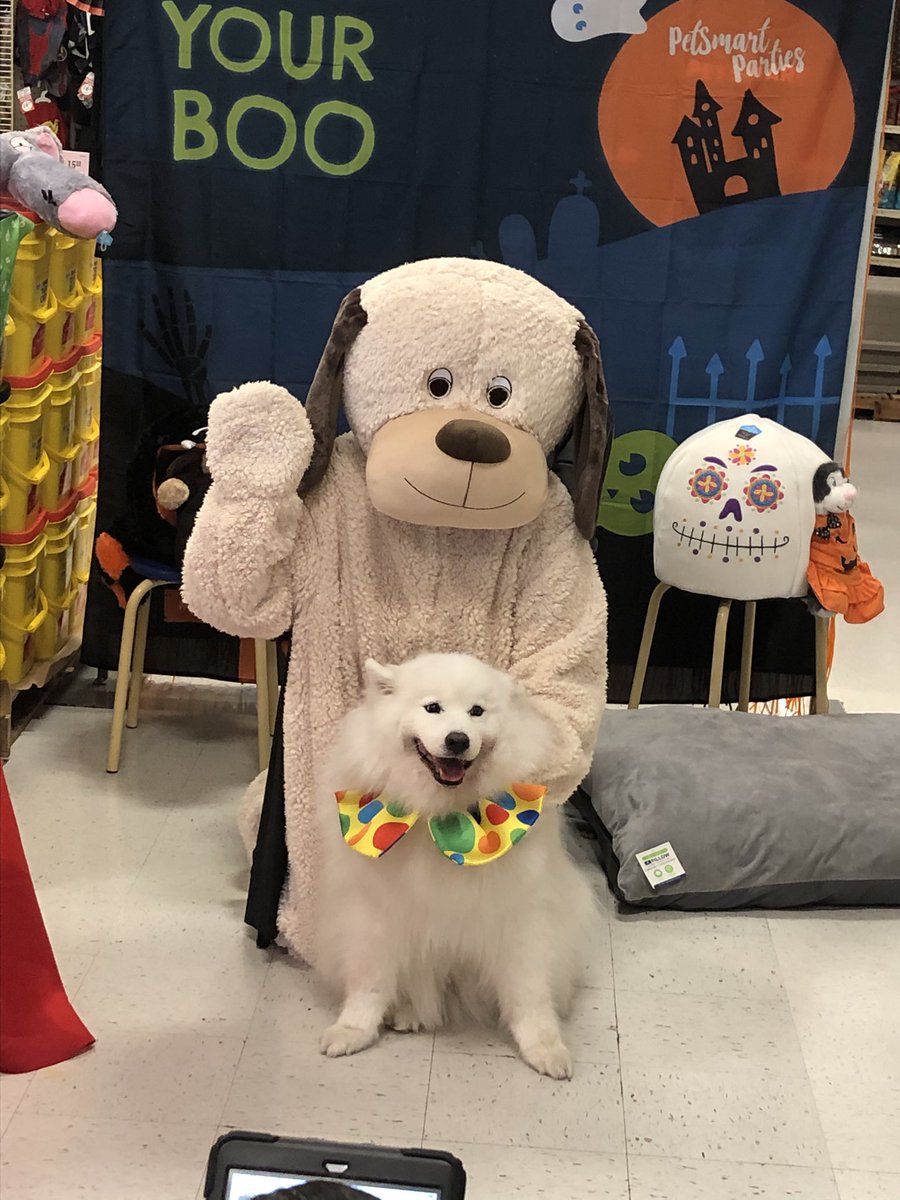 PetSmart 290/Tidwell tweet media