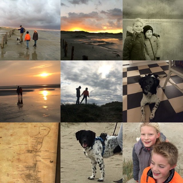 Denemarken🧡🐾🇩🇰 #miraclemorning #happymoments #miljonair