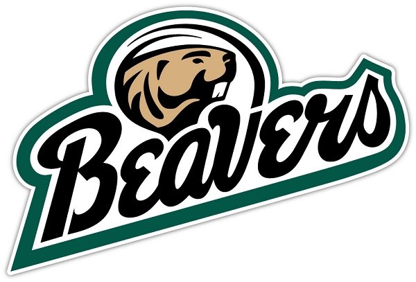 I am excited to announce my commitment to play division II softball at Bemidji State University! I have been blessed with the best teammates &amp; coaches. Thank you especially to my parents &amp; sisters for always supporting me❤️ #rollbeavs <a href="/MIDWESTSPEEDSC/">Sean Hall</a> <a href="/CDHRaiderSB/">CDH Raider Softball</a> <a href="/sara_moulton9/">Sara Moulton</a>