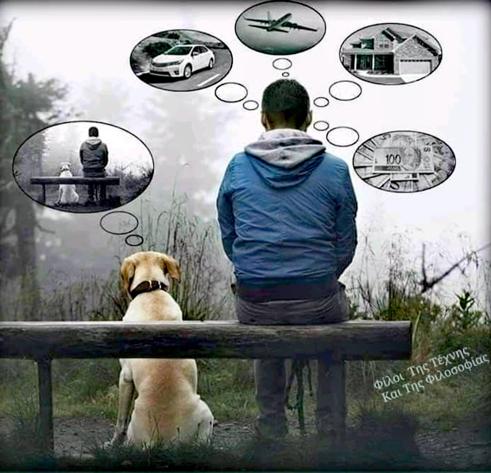 Do Dogs Have Dreams About Humans