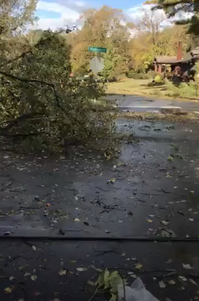 jasondotnews's tweet photo. My neighborhood is all downed trees and power lines π #MadisonSt #Clarksville https://t.co/UmPBv7GvdP