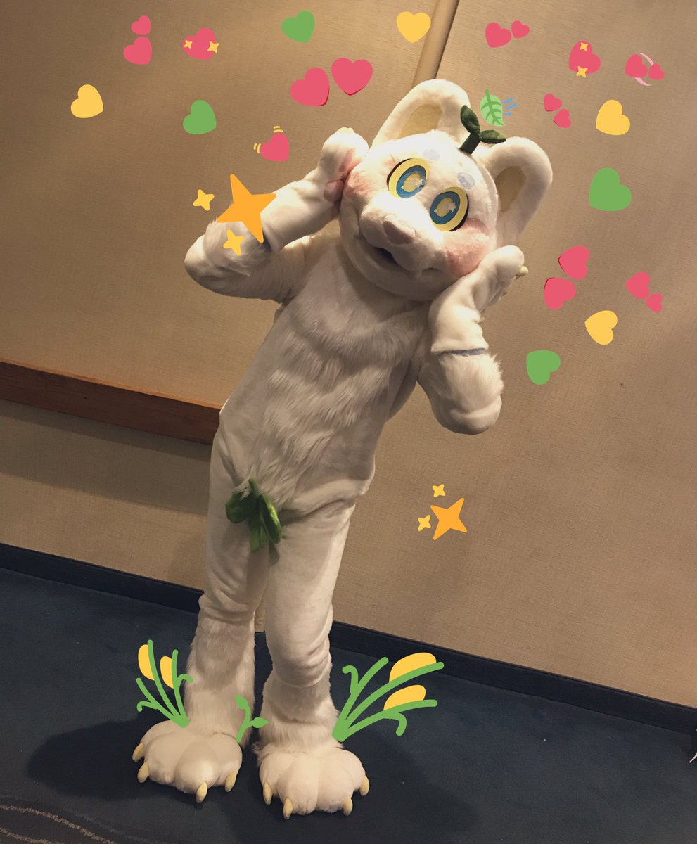 sproutskitty's tweet photo. I finally was able to get outta that box and arrive @FurpocalypseInc !!! im so fluffy and CUTE!!!!!! come find me @ #furpoc2019 !! 🥰🌱💛☁️✨ https://t.co/w1V5NiYlQJ
