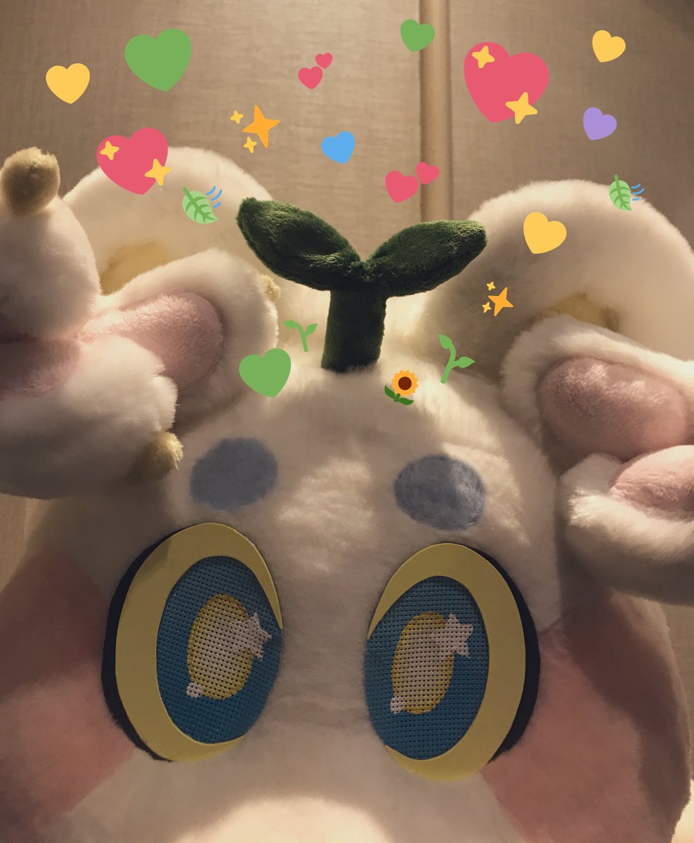 sproutskitty's tweet photo. I finally was able to get outta that box and arrive @FurpocalypseInc !!! im so fluffy and CUTE!!!!!! come find me @ #furpoc2019 !! 🥰🌱💛☁️✨ https://t.co/w1V5NiYlQJ