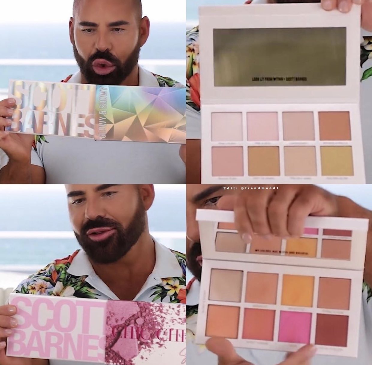scott barnes highlighter palette
