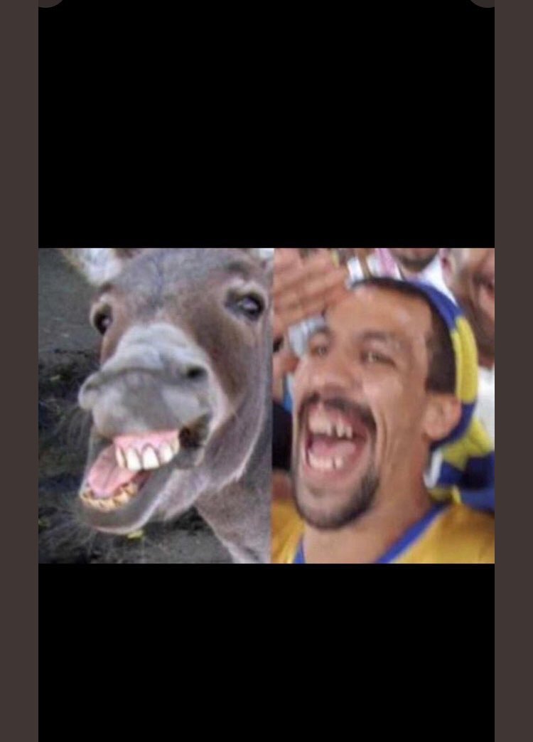 12Rupen's tweet photo. @MM_nsr9 الفروقات بين هالحيوانين ، اليمين وجهه اوصخ من اليسار واليسار انضف بكثير ،، سبحان الله سيمائهم في وجييهم ، سيىء الخلق والخُلق https://t.co/TvZEeuaQ0f