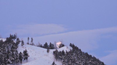 WolfTracker1 tweet picture