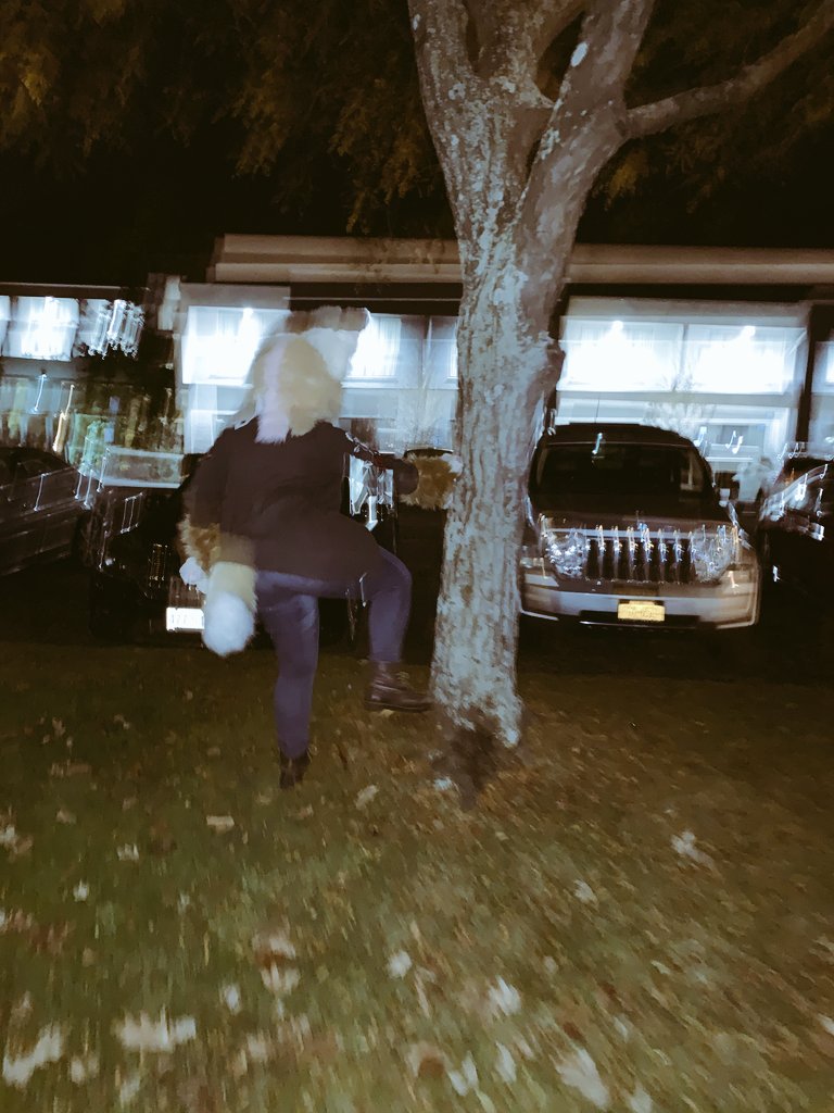 fipsies's tweet photo. the haunting at #Furpoc2019 
@sproutskitty @merribebbi https://t.co/cFibMskEEv