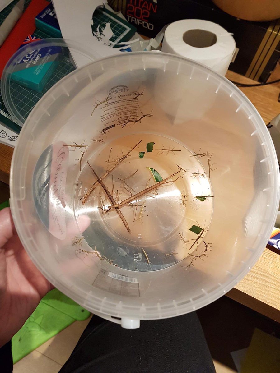 ImprovingHacker's tweet image. ⁦@tinajfarrington⁩ Looking for a new home.