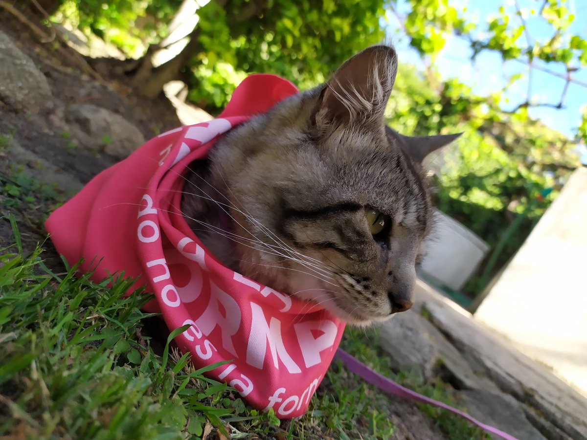 Mañana recuerden que voten al que voten el que voten no la vota!

#NoALaReforma 
#ElMiedoNoEsLaForma 

<a href="/noalareformauy/">NO A LA REFORMA</a>