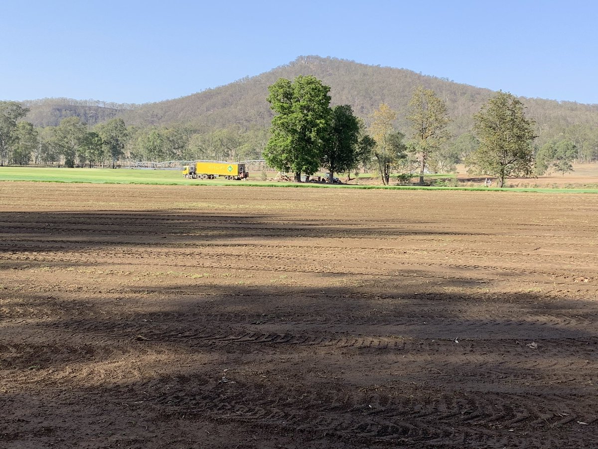 All Turf Solutions tweet media