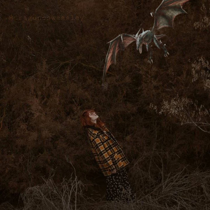 c̤̈ḧ̤ä̤r̤̈l̤̈ö̤ẗ̤ẗ̤ë̤  ẅ̤ë̤ä̤s̤̈l̤̈ë̤ÿ̤ 
 
❝—Que no hombre; no me cojo a los dragones.❞ 
 
Charlie Weasley /Fem/ 
 
ᴍᴀʟ ʜᴀʙʟᴀᴅᴀ. 
ʙᴜsᴄᴀᴅᴏʀᴀ. 

                        ♡&amp;↻