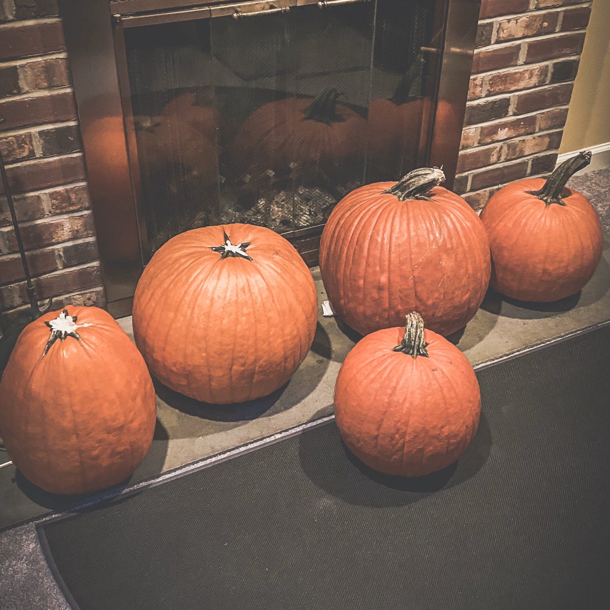itstheBMAC's tweet photo. I may have a #PumpkinProblem... ๐ https://t.co/WsUmeaaxx5