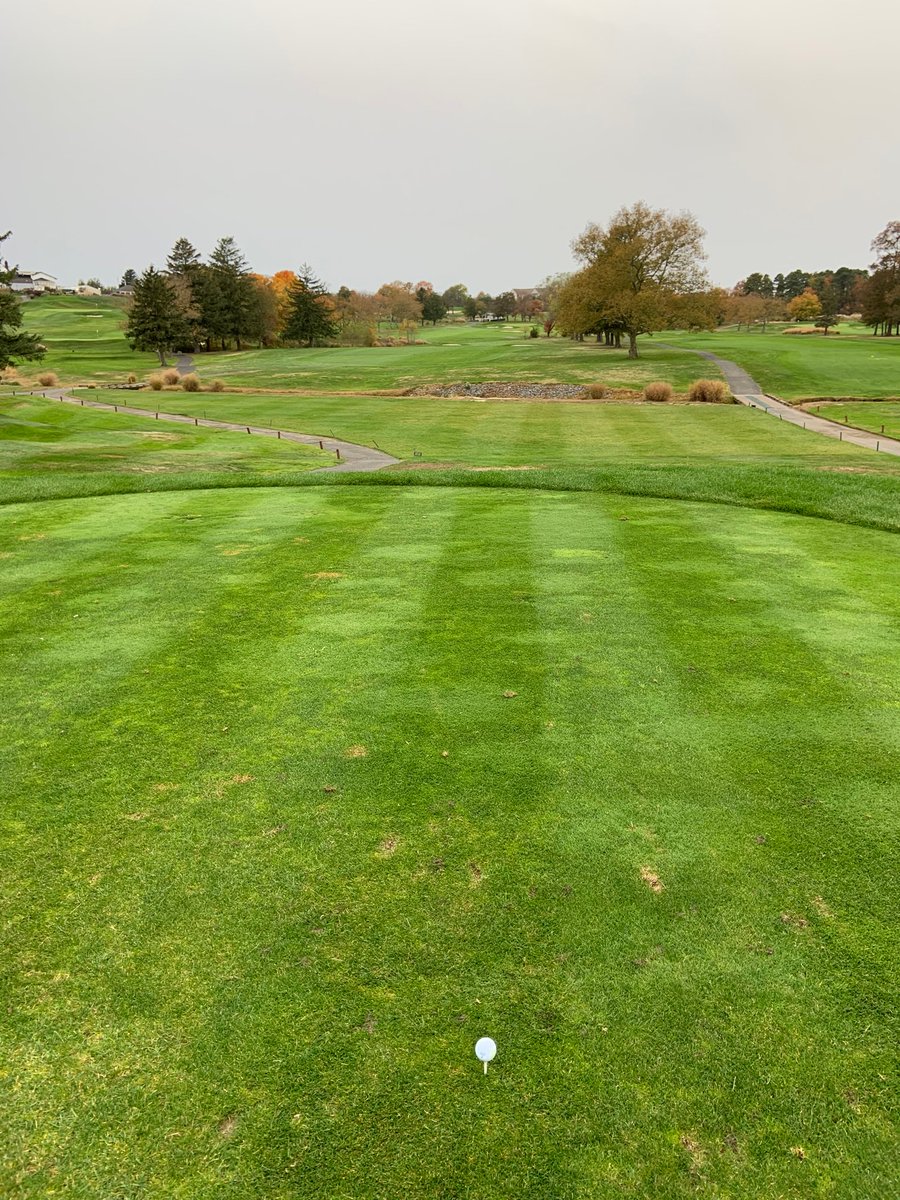 SteveGit25's tweet photo. The 537 yard par 5 - 9th hole @jumpingbrookcc #newjerseygolf #fallgolf https://t.co/ja86Gv6HAj