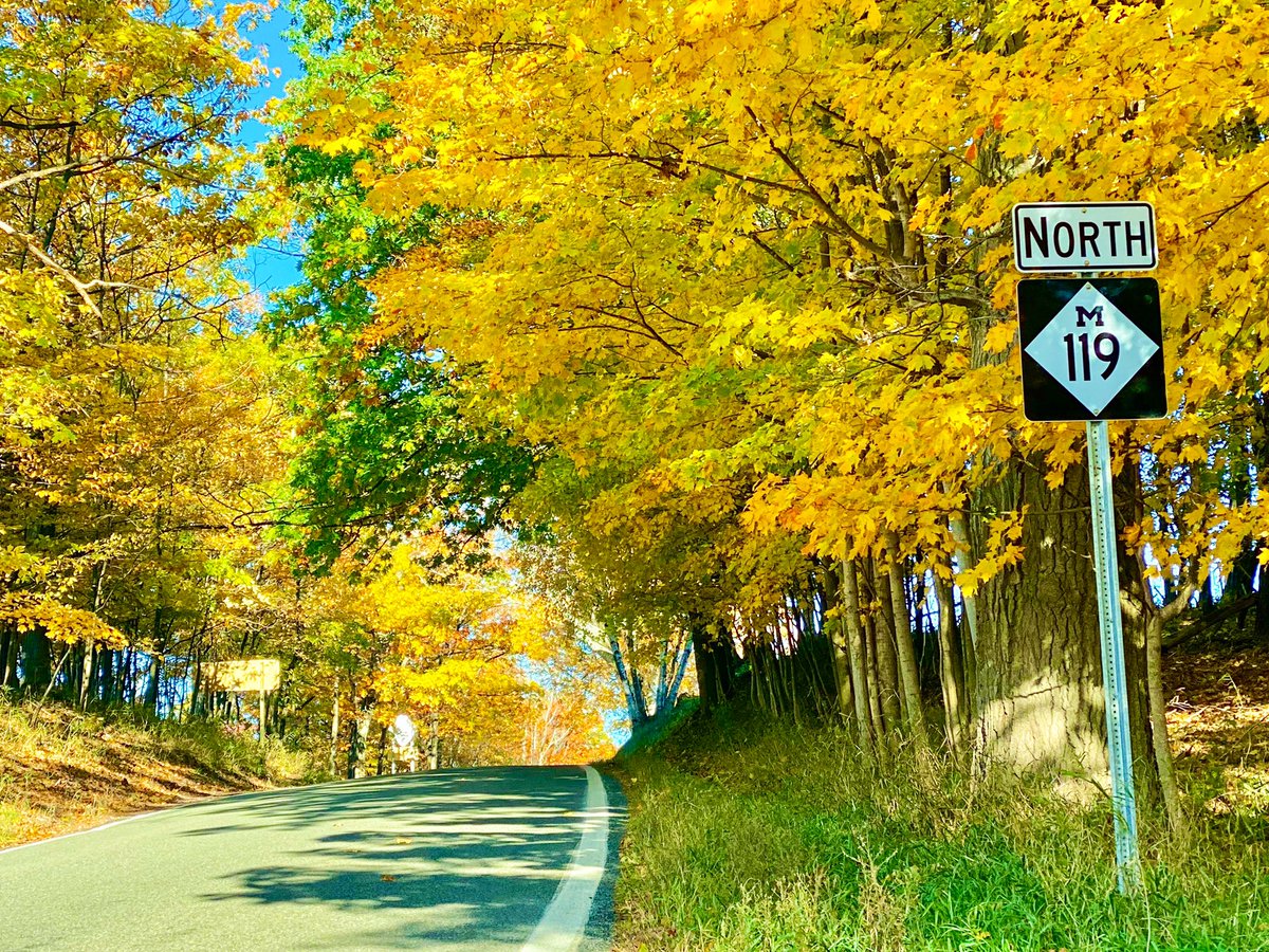 glennrstevens's tweet image. It was @PureMichigan kind of day on M-119 today. 
#tunneloftrees 
#UpNorth
#PUREMICHIGAN