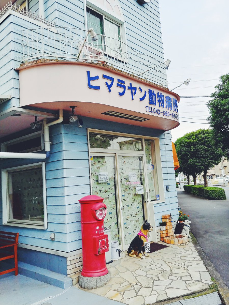 ヒマラヤン動物病院