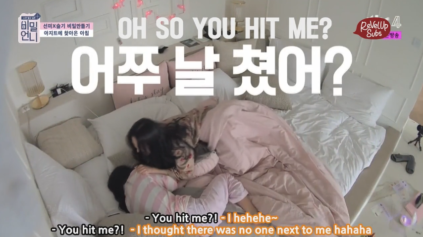 Seulgi really did hit her in their sleep and Sunmi didn& #39;t even remember it