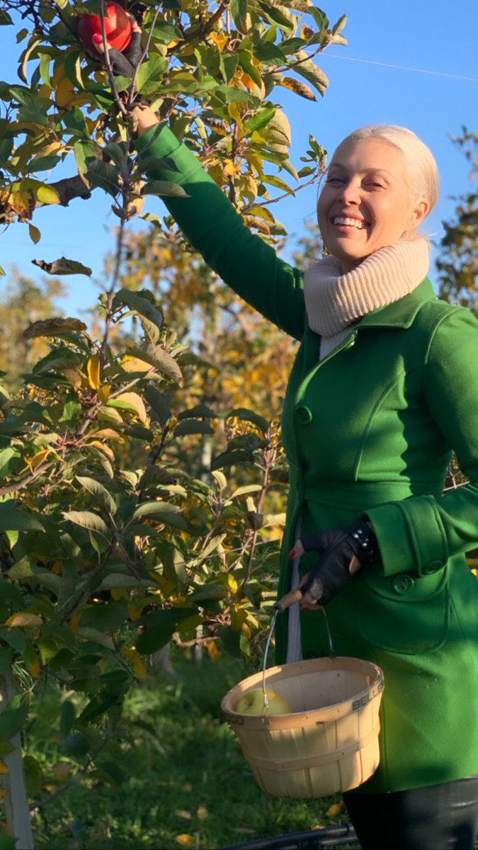 AlainaHuffman's tweet photo. Apple Farmer 🍎👩🏼‍🌾🍏 https://t.co/q3BEx8IeUp