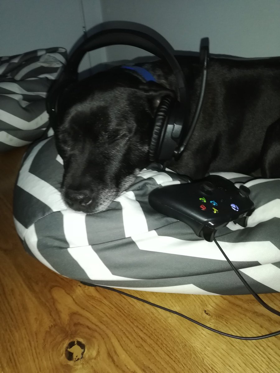 DGYNWA's tweet image. I&apos;M USING CODE KIWIZ I HOPE YOU ARE TO! @Kiwiz @FortniteGame #codekiwiz #Fortnite #gaming