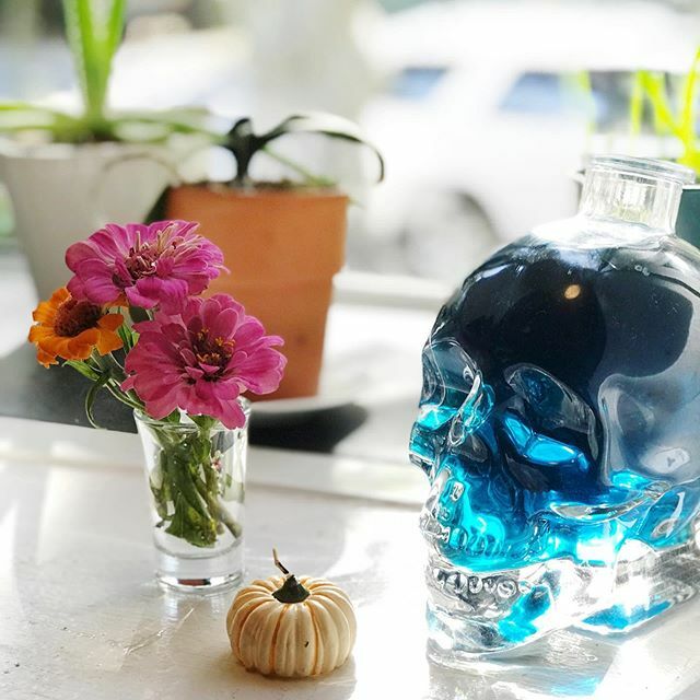 Tahni's tweet photo. My granddaughter picked these for me from Garden Club at her school. This Nonnie’s heart is officially melted. Unlike the general public, I’ve never been much on Halloween decor but I do have a few @crystalheadvodka bottles scattered about.
.
.
.
#freshf… https://t.co/JMEW1y5SWM https://t.co/wpRhX43H5L