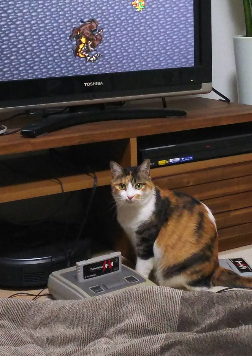 スーファミでゲームをする飼い主さんの目の前に迫る危機 猫リセットの恐怖再び 危ないからね 何も触らずこっち来よう Togetter スーファミでゲームをする飼い主さんの目の前に迫る危機 猫リセットの恐怖再び 危ないからね 何も触らずこっち来よう Togetter