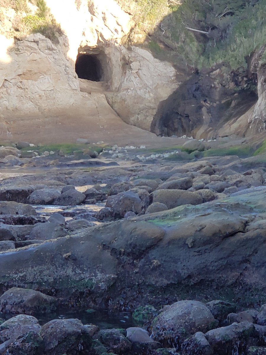 papy42531's tweet photo. Any body knows who to contact about a deer trap in the rocks at this location #liveonkcby https://t.co/PTfz9XFzcd