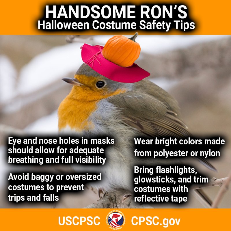 A bird named Handsome Ron. Text: eye and nose holes in masks should allow for good visibility. Avoid baggy or oversized costumes. Wear bright colors made of nylon or polyester. Bring flashlights or glow sticks and trim costumes with reflective tape.