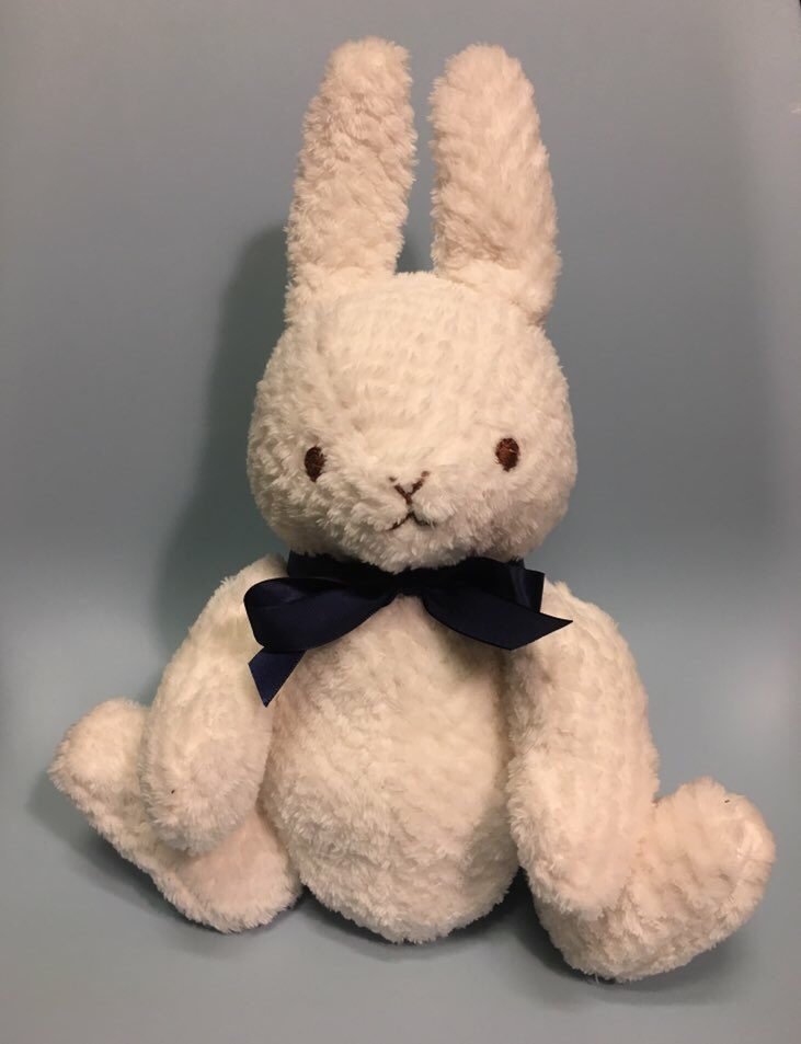 ふるえるとり そしてこれはことりがお腹にいるときに作った音の出るぬいぐるみたち 荒巻スカルチノフ T Co Fqaqs7cxwt Twitter