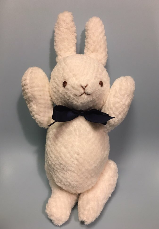 ふるえるとり そしてこれはことりがお腹にいるときに作った音の出るぬいぐるみたち 荒巻スカルチノフ T Co Fqaqs7cxwt Twitter