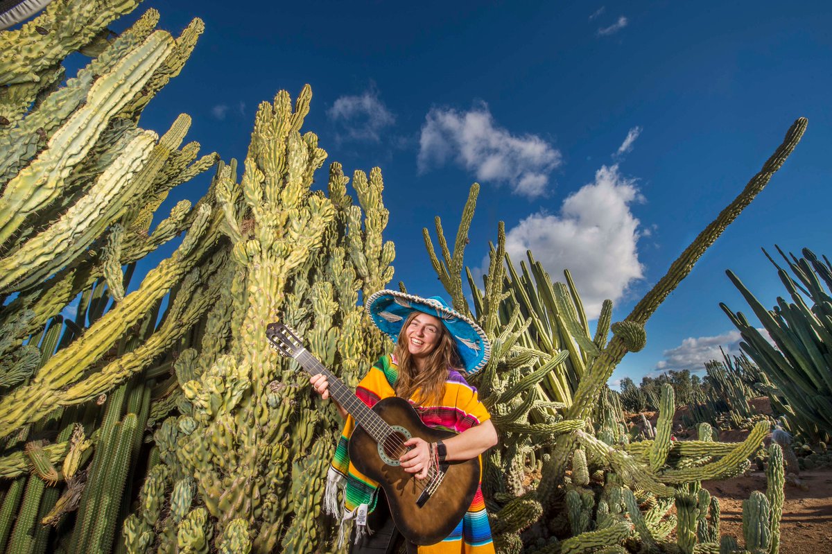 moniquehore's tweet photo. New tourist routes that link a string of attractions could be plotted across the state to drive a dramatic boost in regional Victoria #futurevictoria https://t.co/IlFBNLwClg https://t.co/MfVYFkYDcv