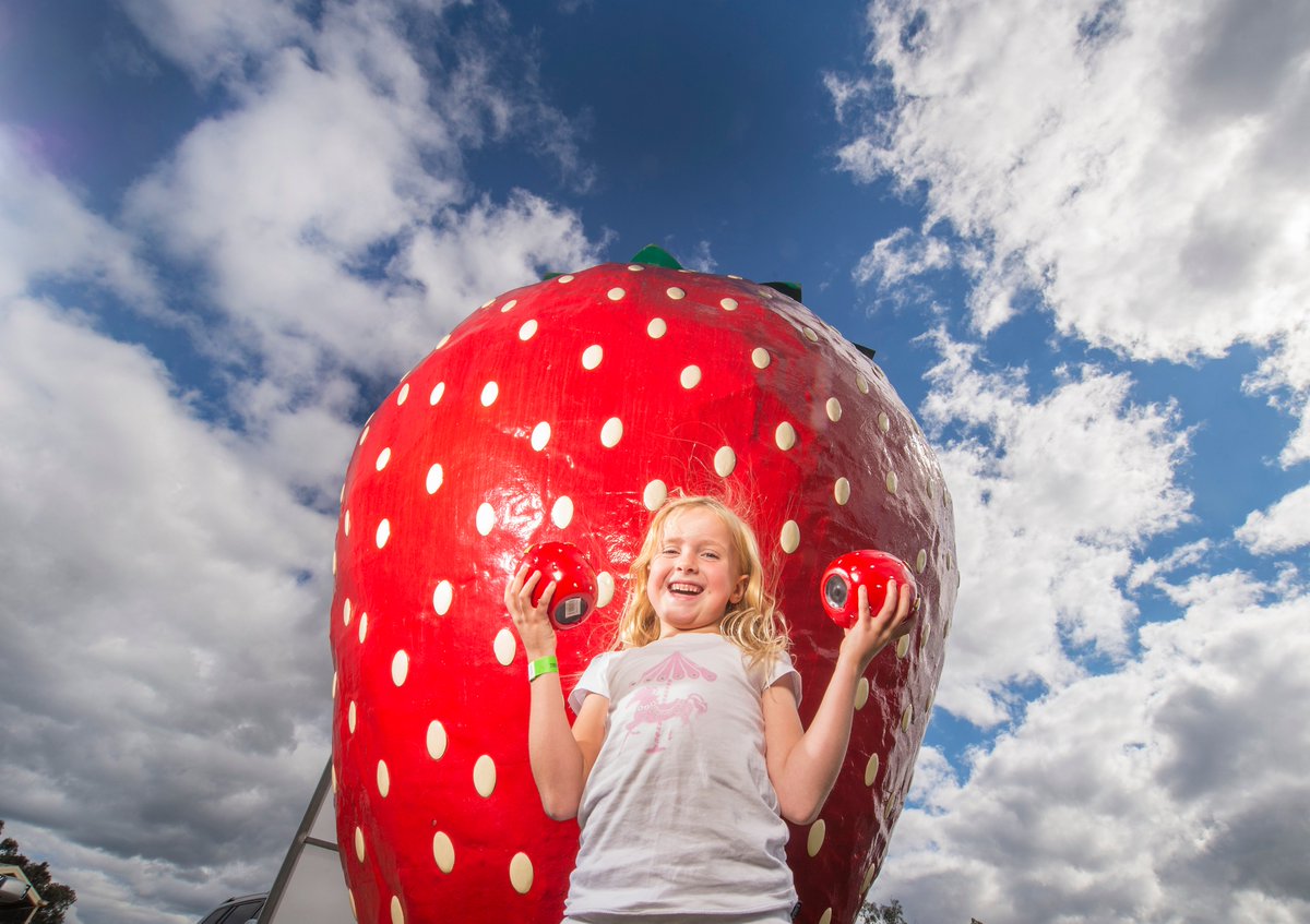 moniquehore's tweet photo. New tourist routes that link a string of attractions could be plotted across the state to drive a dramatic boost in regional Victoria #futurevictoria https://t.co/IlFBNLwClg https://t.co/MfVYFkYDcv