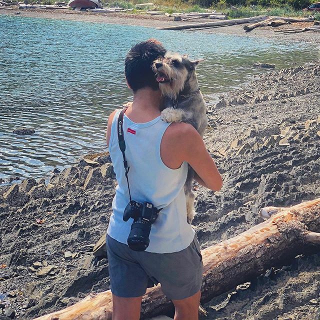 muffinjai's tweet photo. Let’s head home for dinner 🥰🐶🐾🇨🇦 #MedicineBeach #PenderIsland #ExploreBC @kenchow https://t.co/HhIQraLLT8 #dogsofinstagram #dogsoftwitter #schnauzergang #schnauzeroftwitter #schnauzer #minischnauzer #miniatureschnauzer #schnauzers #minischnauzers #miniatureschnauzers #muffi… https://t.co/gceVP6Kmdz