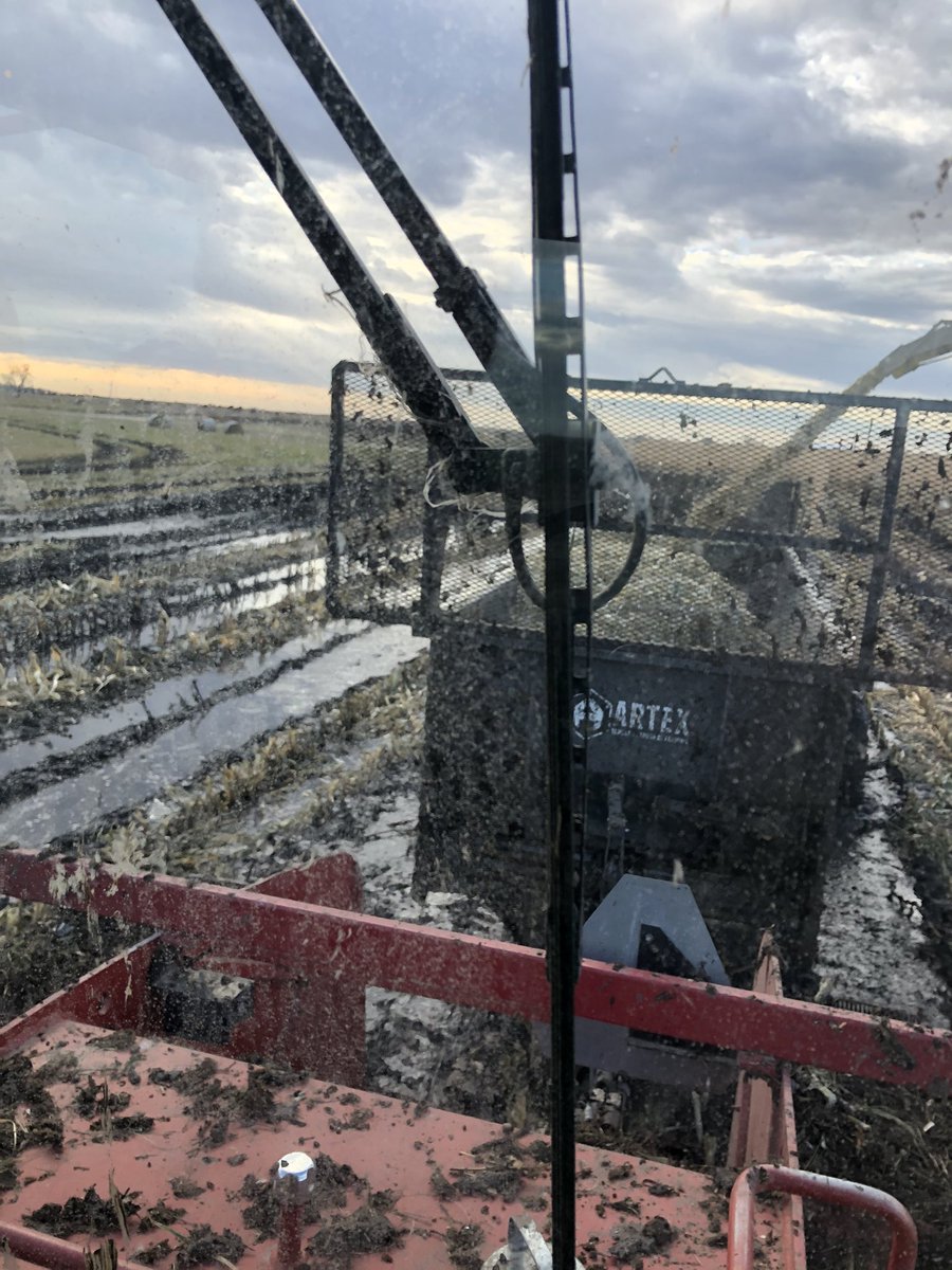 KateLandeis's tweet photo. And we’re chopping corn! 🤗🤗 #silage2019 https://t.co/a90WVXCSxD