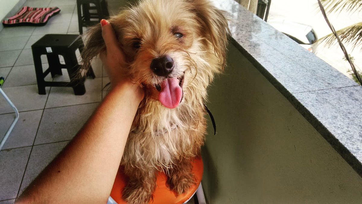 faemrye's tweet photo. Meu filho é lindo, mesmo que ele não enchergue ❤ https://t.co/B5LAoLEyT6