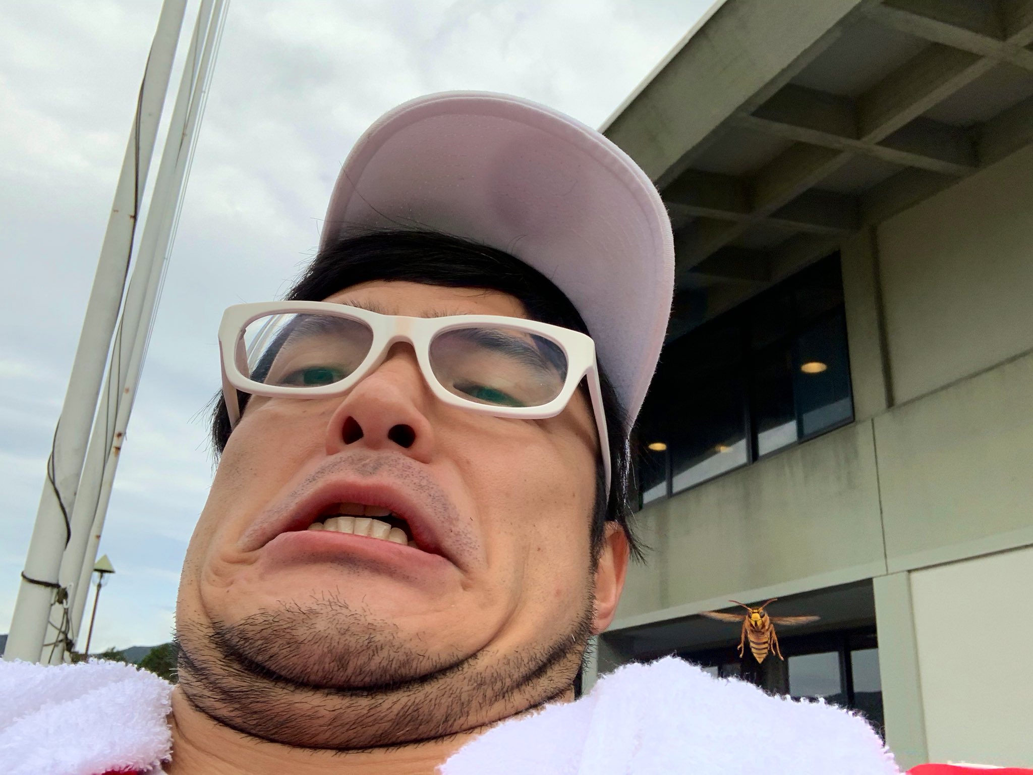 自撮り中にハチが飛んできて奇跡的にツーショットがとれた 話題の画像プラス 自撮り中にハチが飛んできて奇跡的にツーショットがとれた 話題の画像プラス