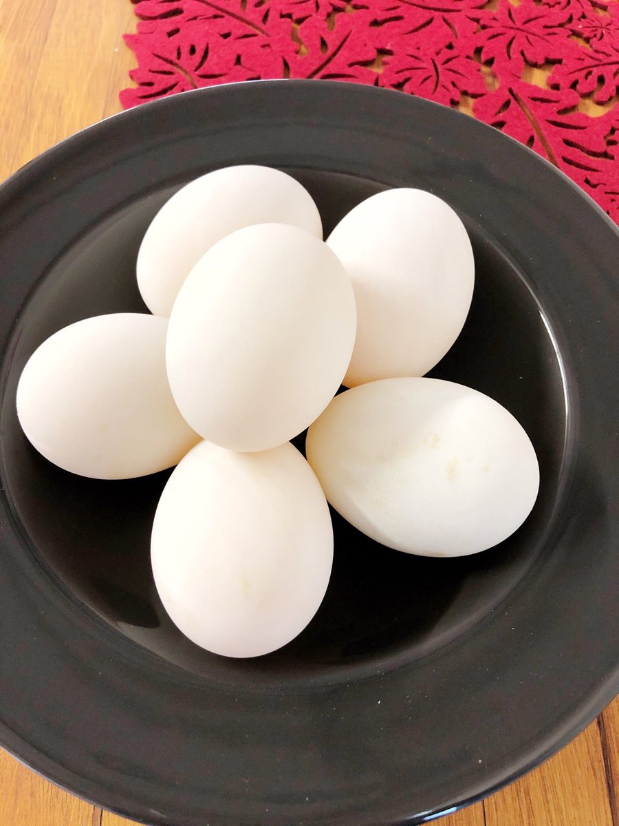 saycheeseshop's tweet photo. If you haven't tried duck eggs, you're in for a treat! From a longer shelf life to more nutrition, you may have heard some good things about duck eggs.

Now available right here @CrossroadsMrkt https://t.co/SIecCsLJGv
