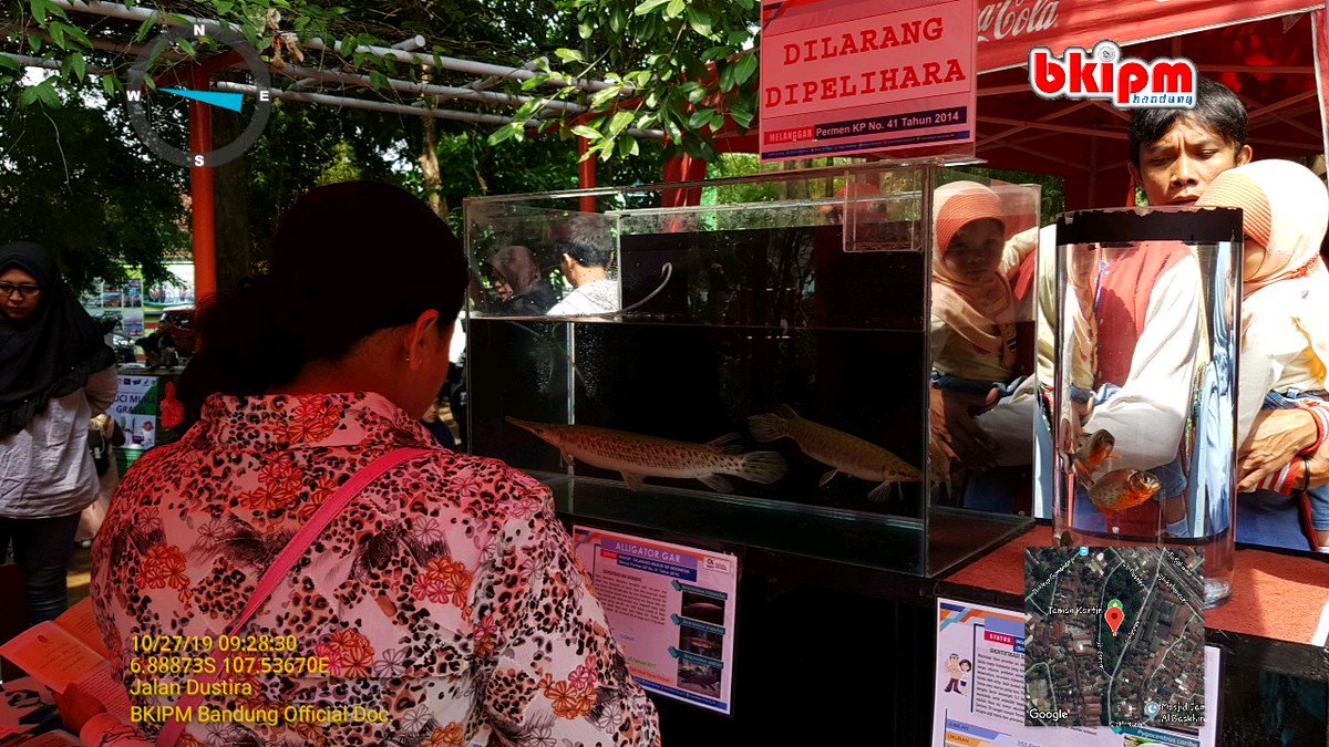 bppmhkpbandung's tweet photo. BKIPM Bandung turut sukseskan Festival literasi untuk segmen Sains agar masyarakat mudah mengakses informasi perkarantinaan ikan dan mutu
Salam literasi. Trm ksh @pustakawan2 
@EdhyPrabowo2 @kkpgoid @rinajanwar2201 @HumasBKIPM https://t.co/A8J7cAAqpB