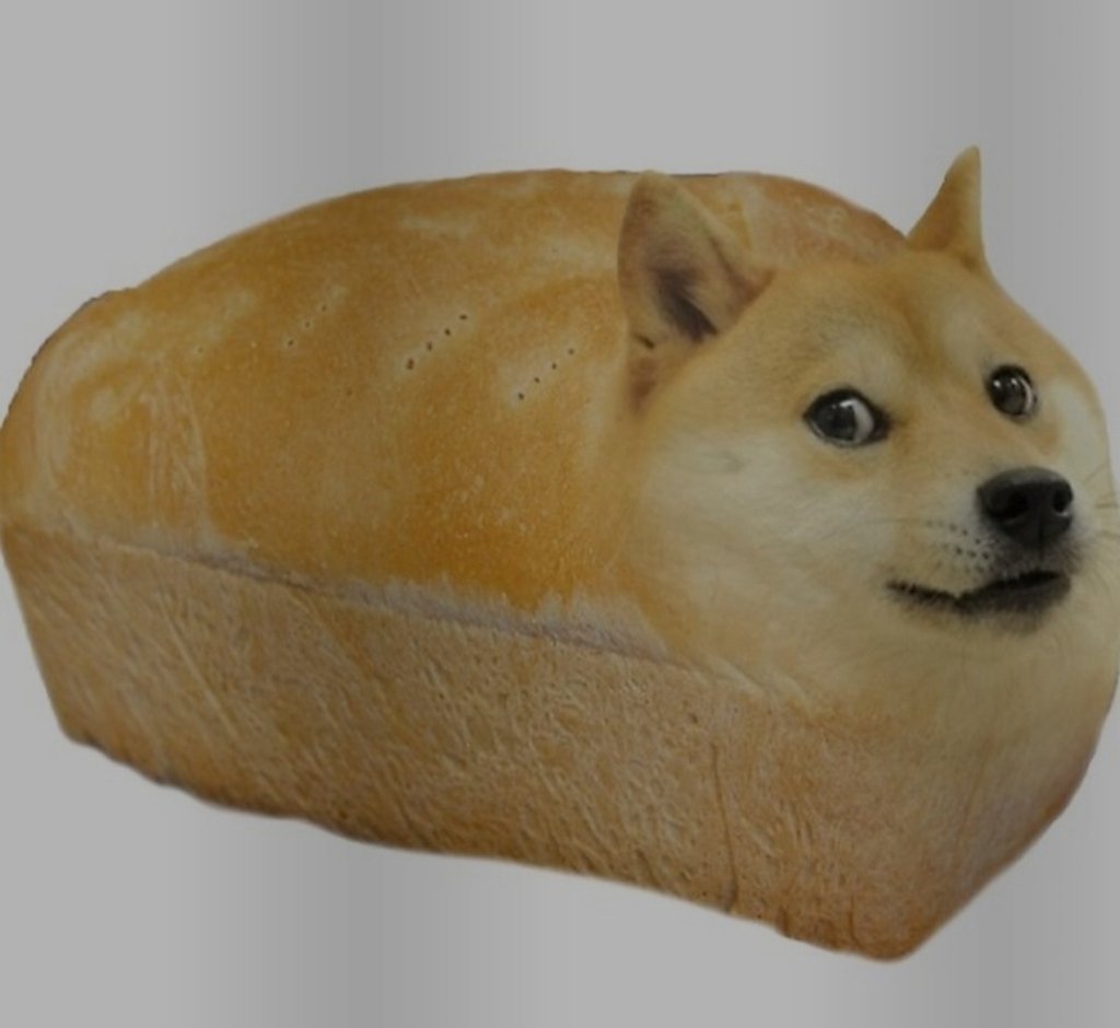 Doge The Dog Auf Twitter You Have Been Visited By The The Doge Loaf Much Eat Much Death From Much Livingness U Lqzee R3d T Co 6nzg2pfzmj Doggo Doge T Co 8d1hkjwyso