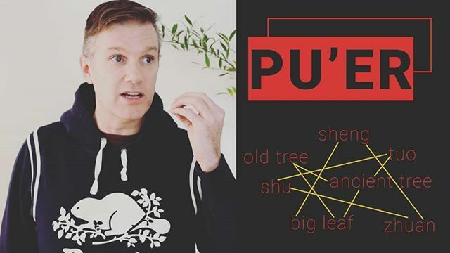 ZhenTea2014's tweet photo. A little preview for tomorrow's video! A much requested video about #puertea . First of all, let's clear some confusions about the basics of Pu'er.
#gongfutea #zhentea #teavideo #puerh #shupuer #shengpuer #puerhtea #darktea #gongfucha #tealovers https://t.co/8VtZ81usVH