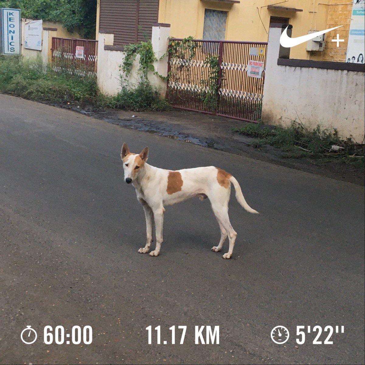 Nithin's tweet image. 6:46 AM: Yet another HR based run, this time on the track. Focus on form and nasal breathing. Was difficult to hold the HR steady at 140, kept fluctuating between 138-143.

#Runners360 #HRbasedrun #180method #MAFmethod #brooksrunning #brooksghost12 #nikeplus #nikerunning