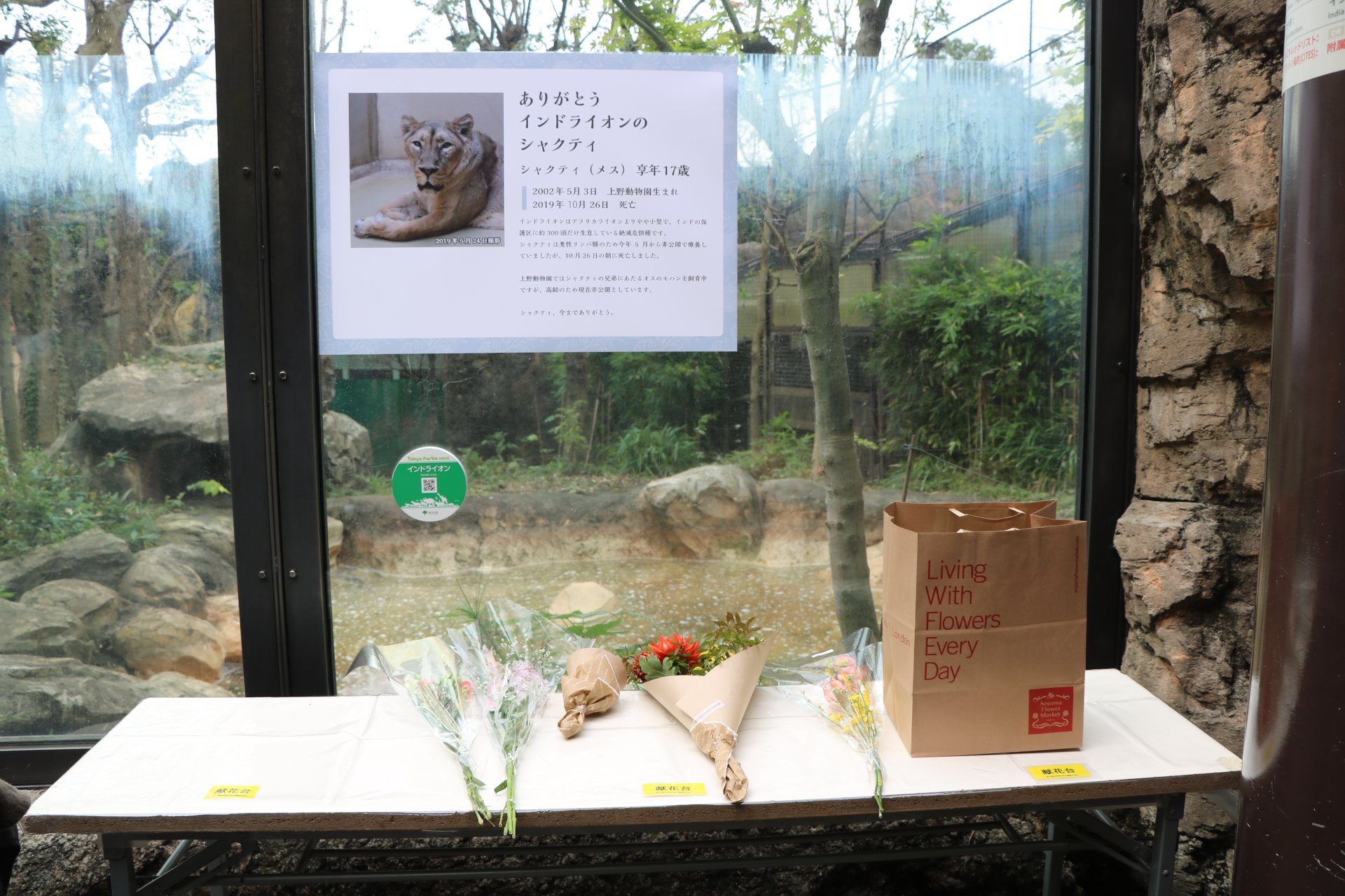 上野動物園 公式 在 Twitter 上 10 26に死亡したインドライオン シャクティ の死因は悪性リンパ腫による多臓器不全でした 本日より献花台を設置したところ さっそくお気持ちをいただきました どうもありがとうございます T Co 3faqw5sn2f Twitter