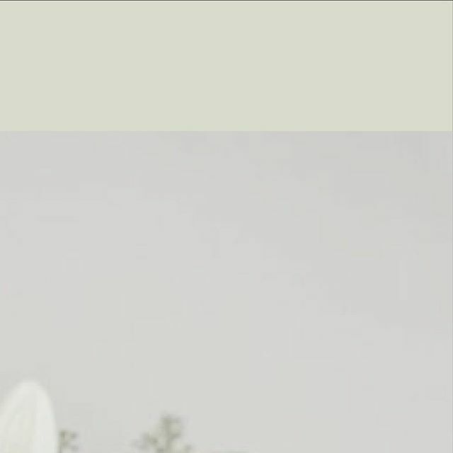 Book your appointment at The White Gown today
T: 212-922-9310
E: info@thewhitegown.com ift.tt/346jjNG