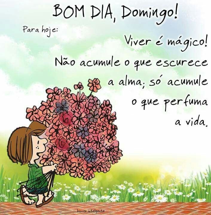 Twitter 上的 🇧🇷 𝙂𝙞𝙡𝙗𝙚𝙧𝙩𝙤 🇧🇷🇧🇷: Twitter 上的 🇧🇷 𝙂𝙞𝙡𝙗𝙚𝙧𝙩𝙤 🇧🇷🇧🇷: